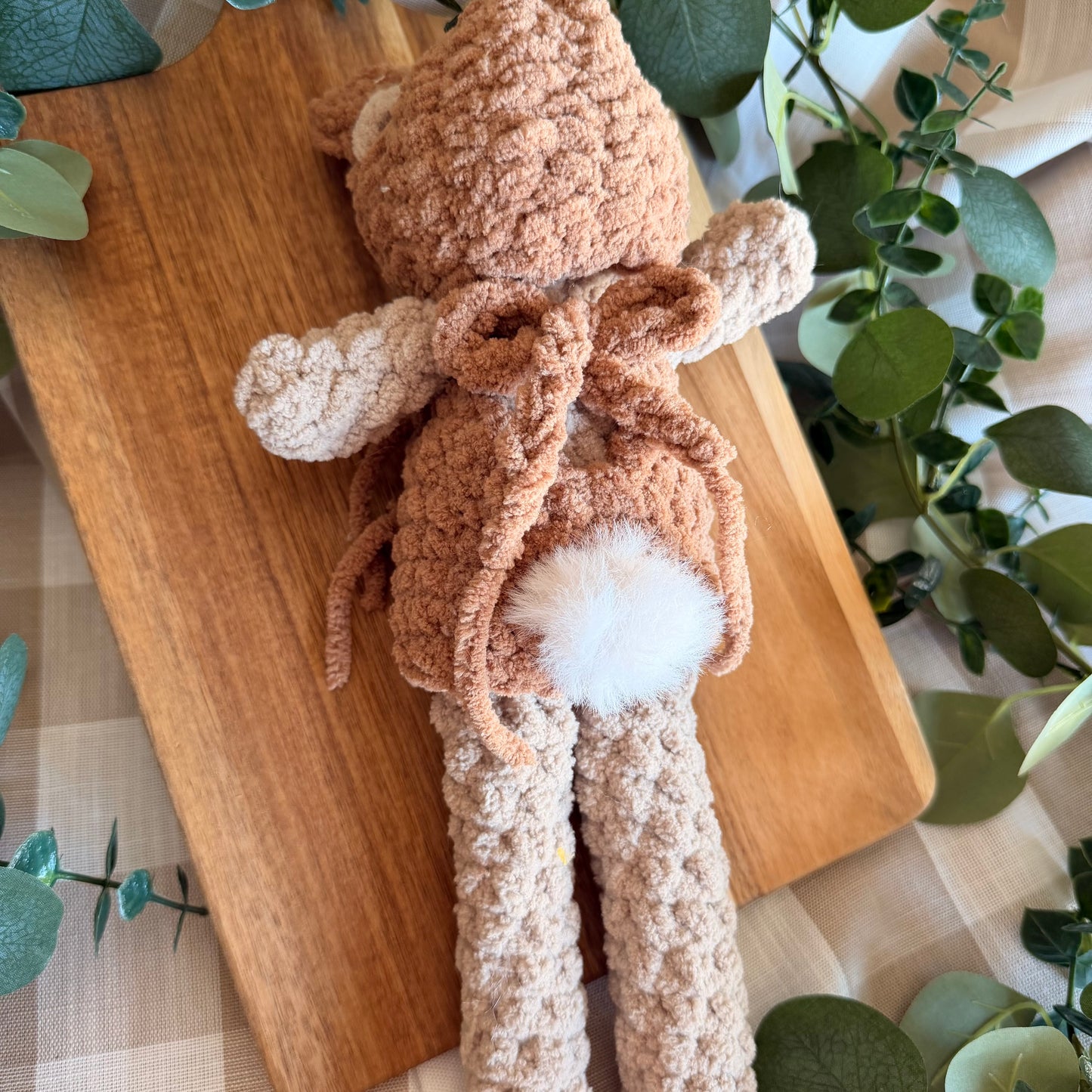 Mr.Bunny the Bear