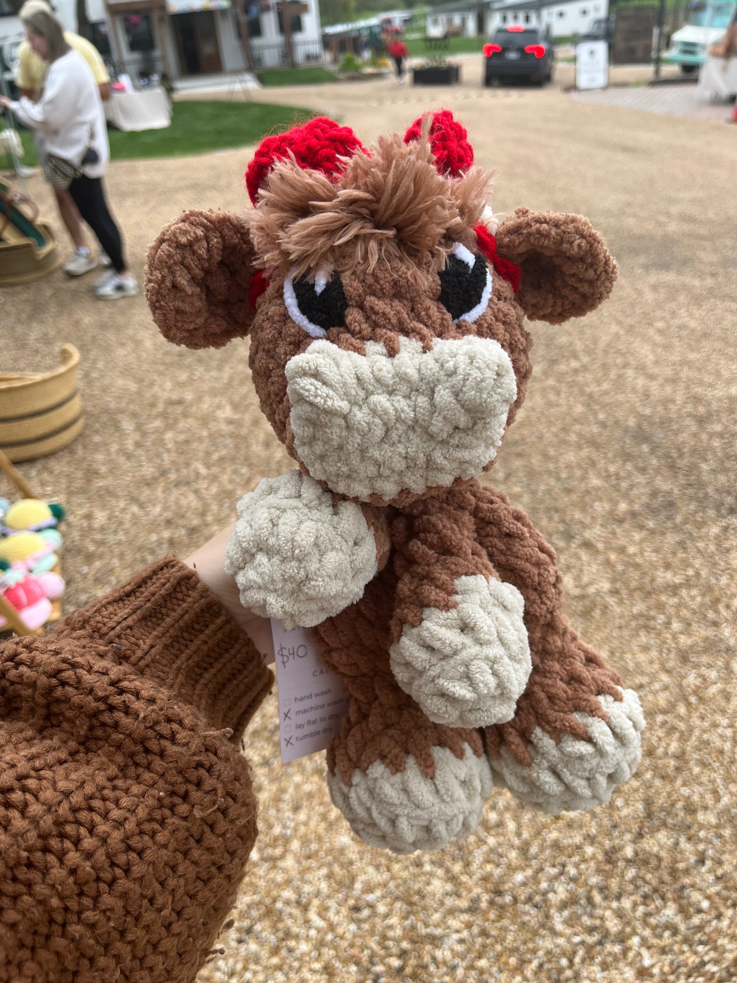 Hazel the Highland Cow