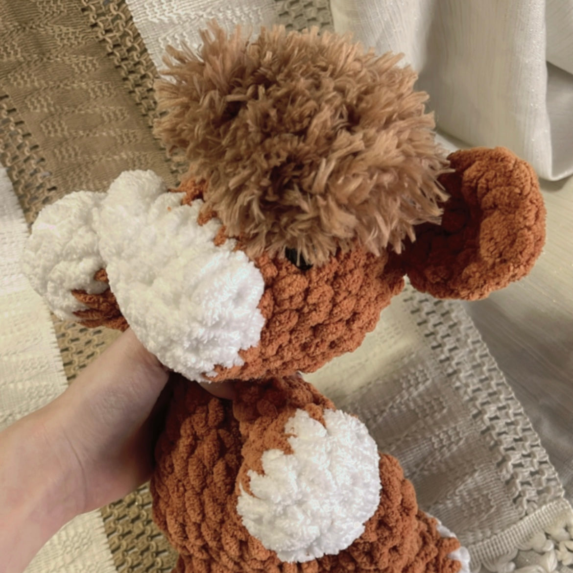 Fergus the Highland Cow