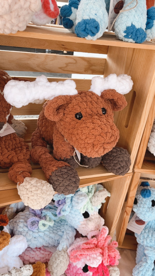 Monty the Moose